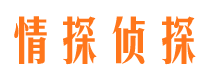 高陵情探私家侦探公司